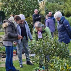 Naar de open tuinen in Roermond en omgeving